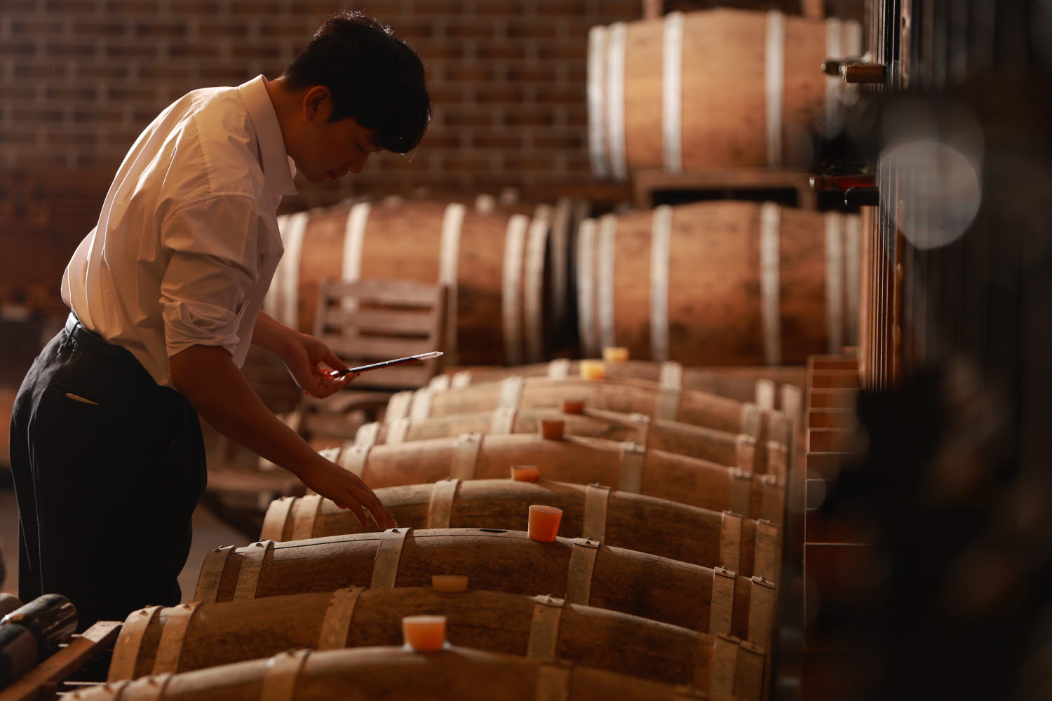 와인사이언스학과는 과학과 예술로 향과 맛을 완성합니다.