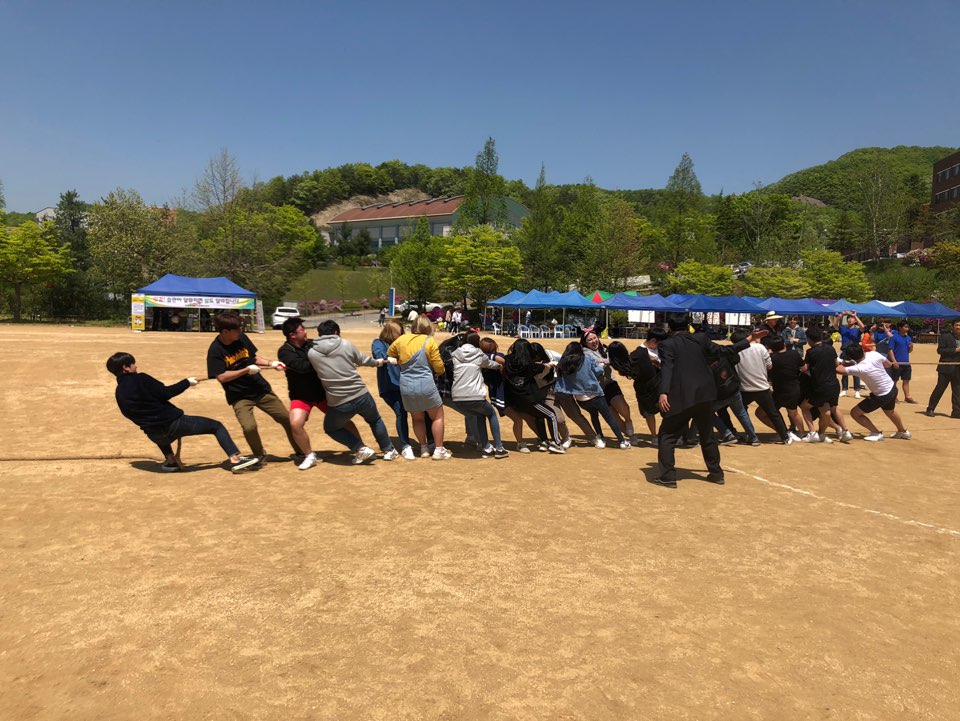 2019 체육대회