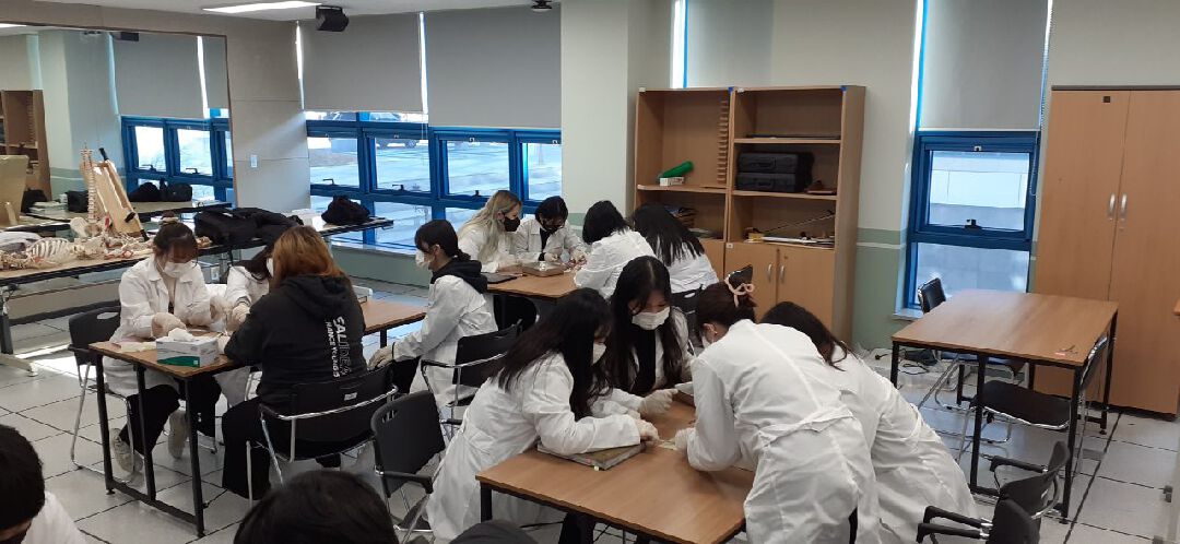 해부학 실습 2